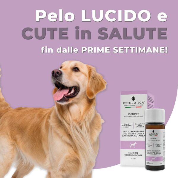 Integratore Pelo contro Dermatite e Prurito Cane CUTIPET - Ricco di Olio di Ribes (Acido Gamma Linoleico), Zinco, Biotina e Vitamina E - Mangime Complementare in Gocce 50ml - immagine 3