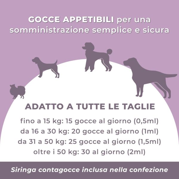 Integratore Pelo contro Dermatite e Prurito Cane CUTIPET - Ricco di Olio di Ribes (Acido Gamma Linoleico), Zinco, Biotina e Vitamina E - Mangime Complementare in Gocce 50ml - immagine 5