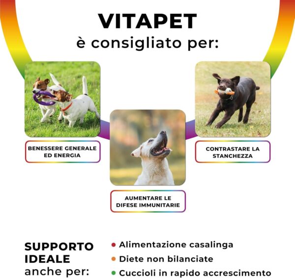Vitamine per Cani VITAPET - 3in1 Integratore Multivitaminico Cane con Echinacea, Uncaria, Biotina e Zinco per Energia, Difese Immunitarie e Cute Sana - 60 Compresse Appetibili - immagine 4