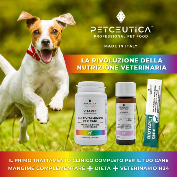 Biotapet - Il primo Tris-Biotico Clinico per la salute intestinale del cane - immagine 4